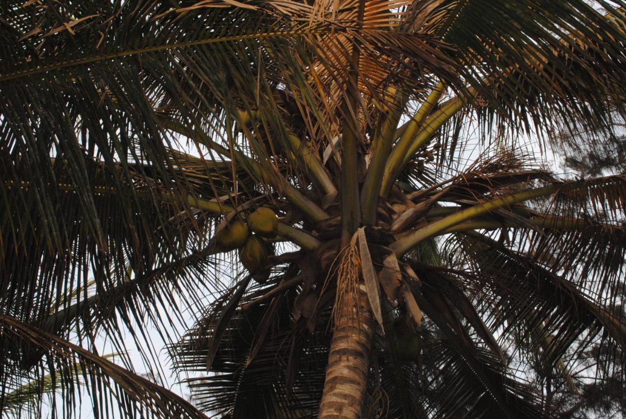 Rainbow Beach Resort Sanyang Eksteriør bilde